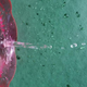 Illustration for article titled Shooting Challenge: Water Drop Gallery Part 2